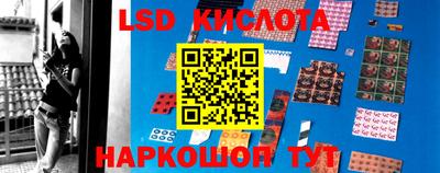 крисы Волжский