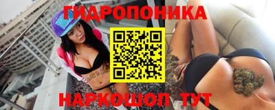 крисы Волжский