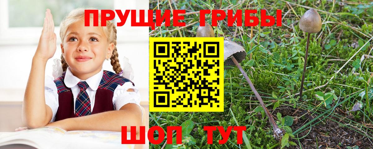 Галлюциногенные грибы GOLDEN TEACHER  Рославль 