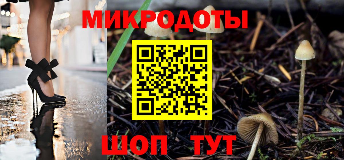 Галлюциногенные грибы Psilocybine cubensis Рославль